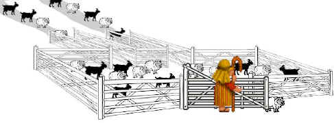 The sheep-and-goats logic gate.